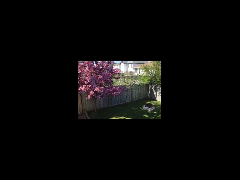 7016522412161838472.webp