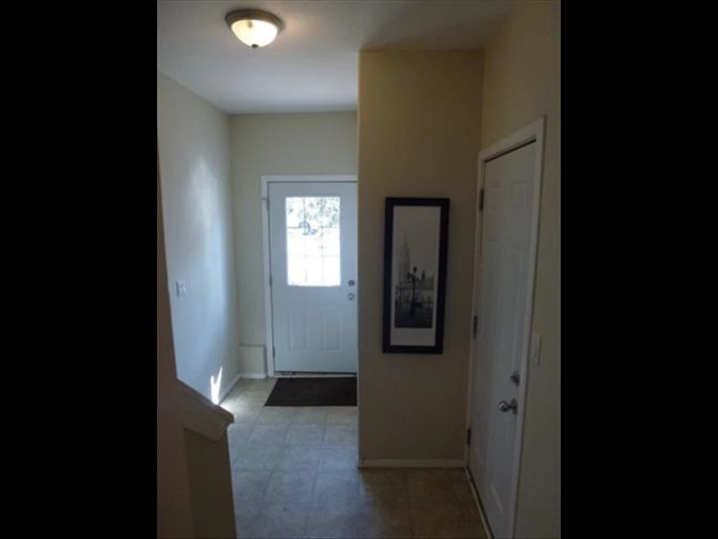 7031702507221932274.webp