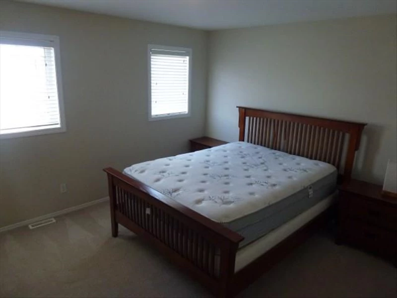 7031702507221932307.webp