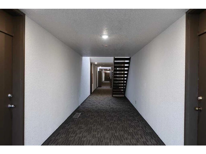 7049922606041559362.webp