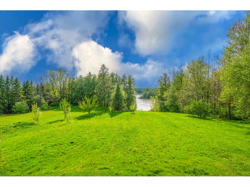 7049052605261400066.webp