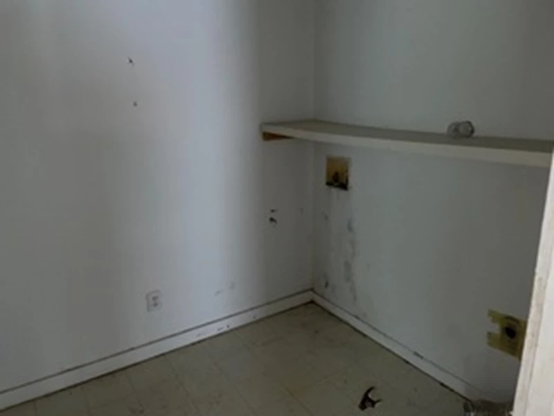 7054292608071533070.webp