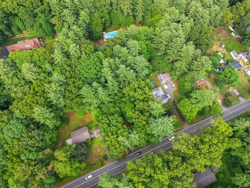 7051212606251454318.webp