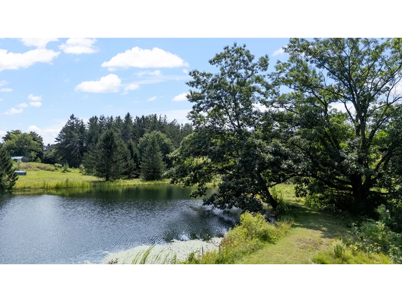 7055032608181937134.webp