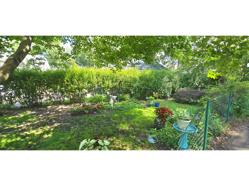 7055402608252311172.webp