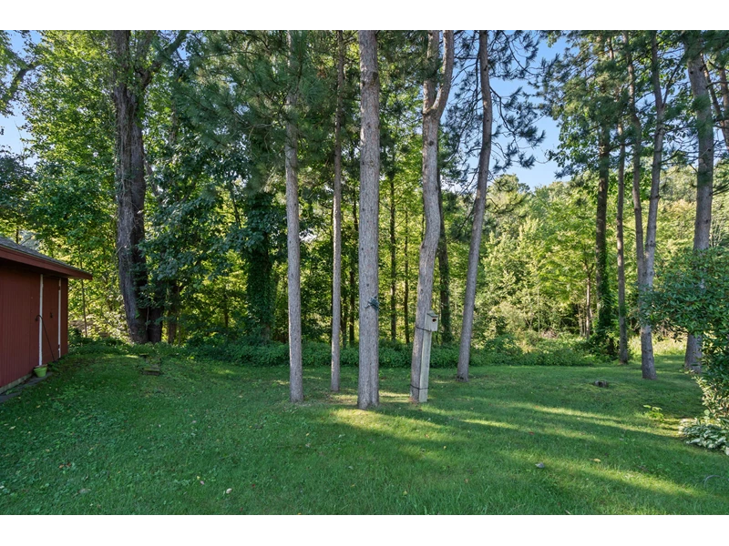 7056152609091624539.webp