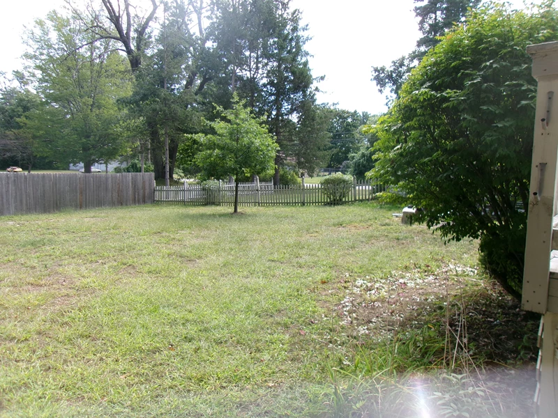 7056272609092323366.webp