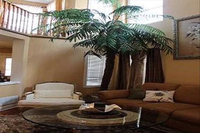 554132_4_L.jpg