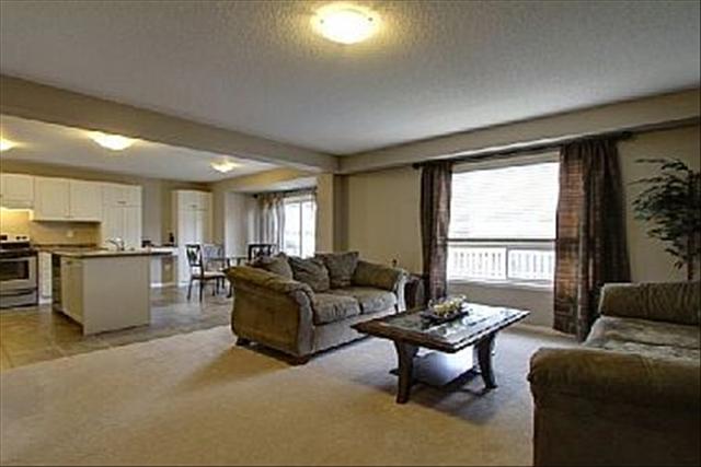 583649_2_L.jpg
