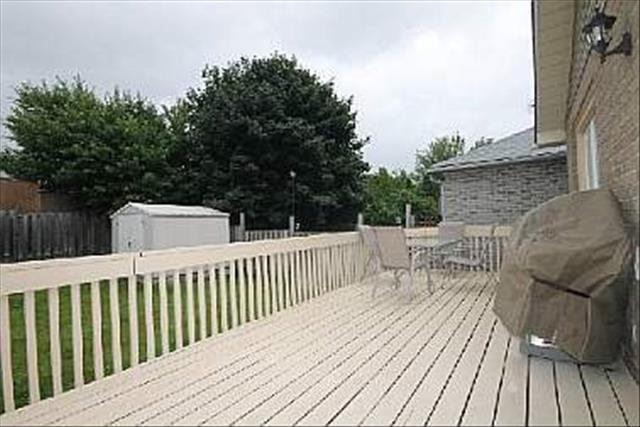 590396_14_L.jpg