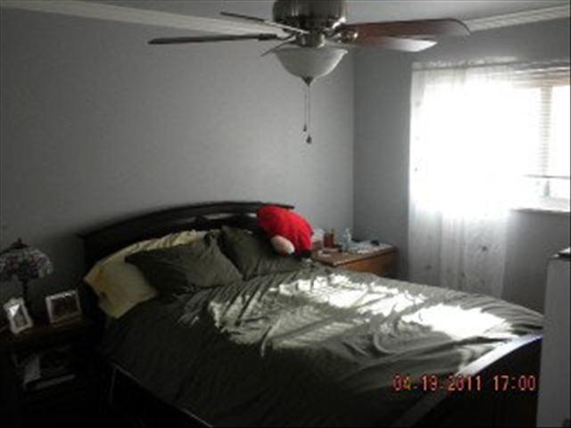 482697_3_L.jpg