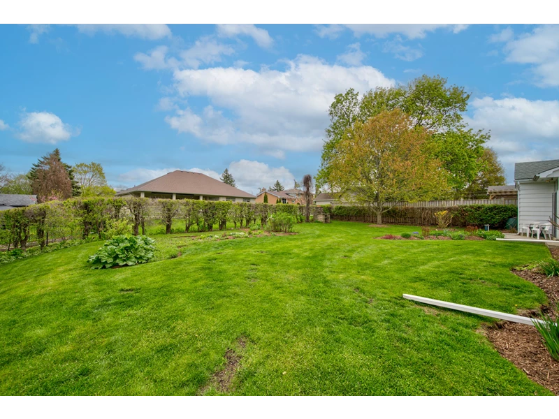 7049002605251638185.webp