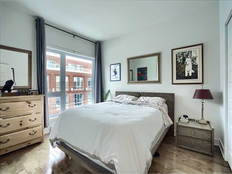 69267522492402491310.jpg
