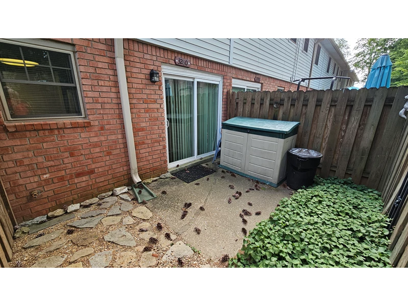 7055412608252346402.webp