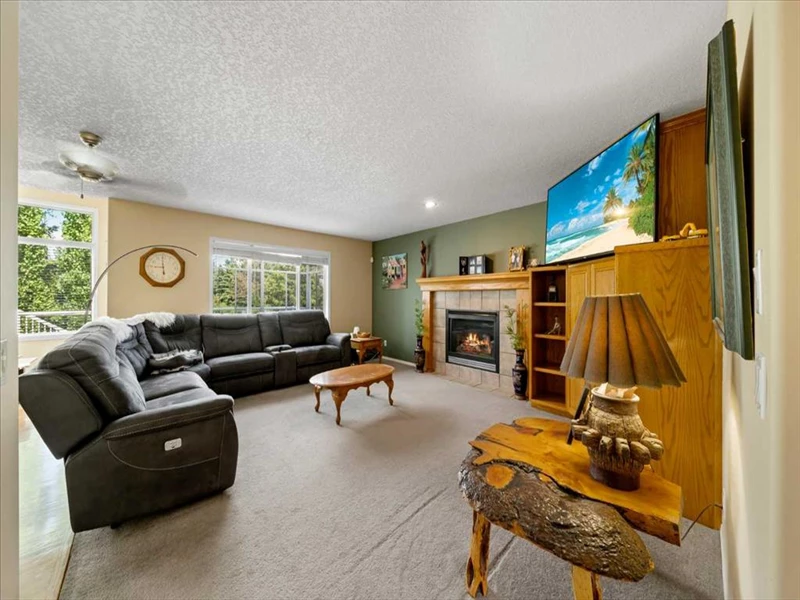 7032332507301934533.webp