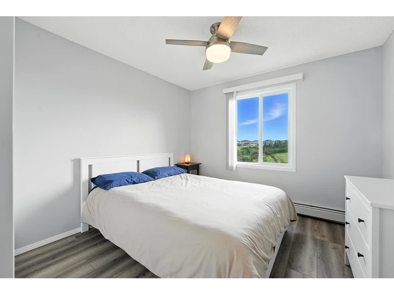 7033512508142109064.webp