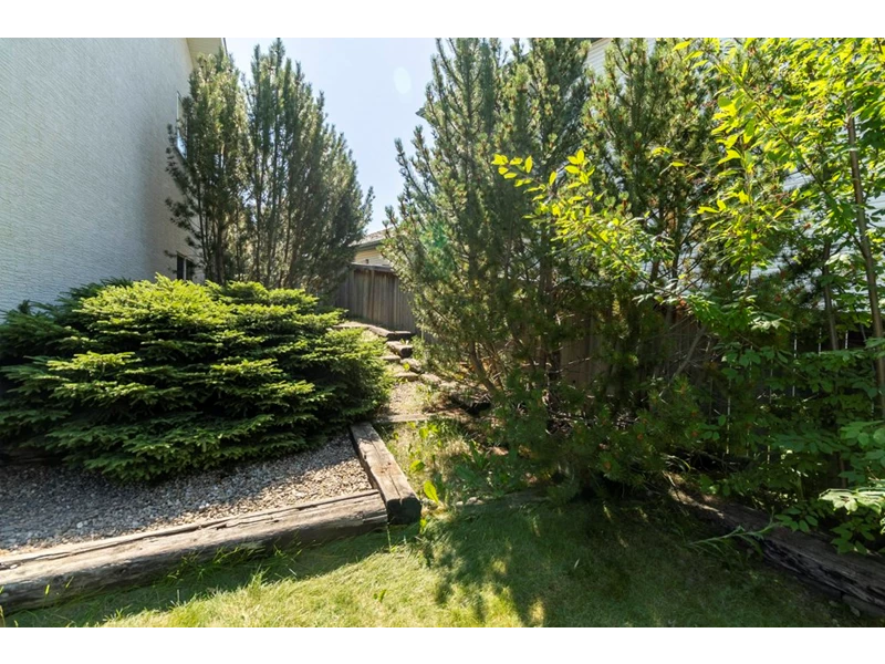 7053862607312219537.webp