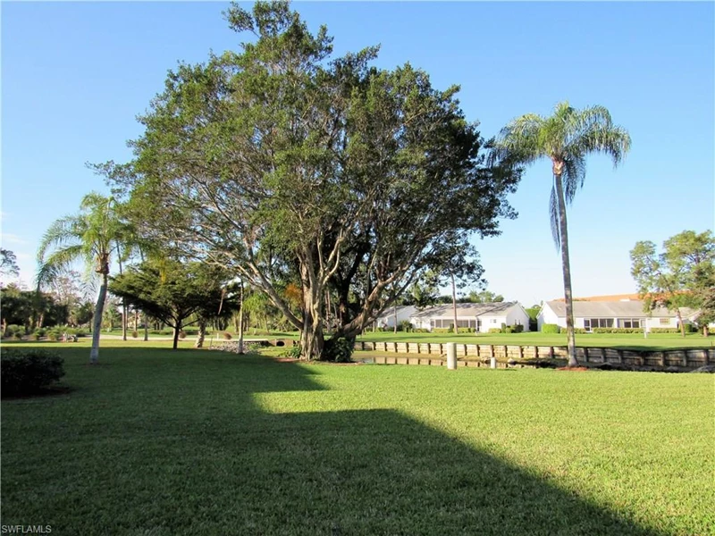 7054312608071602431.webp