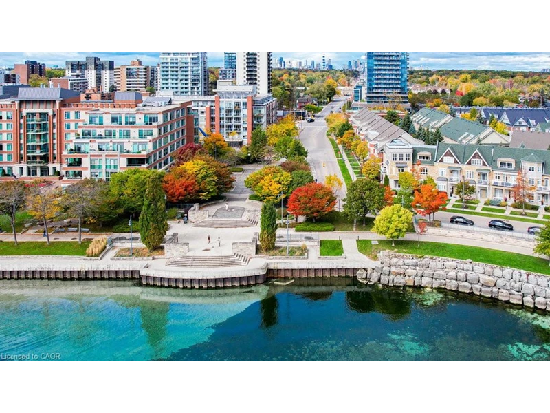7047712605071339453.webp