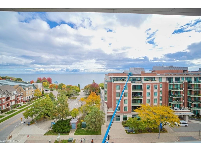 7047712605071339538.webp