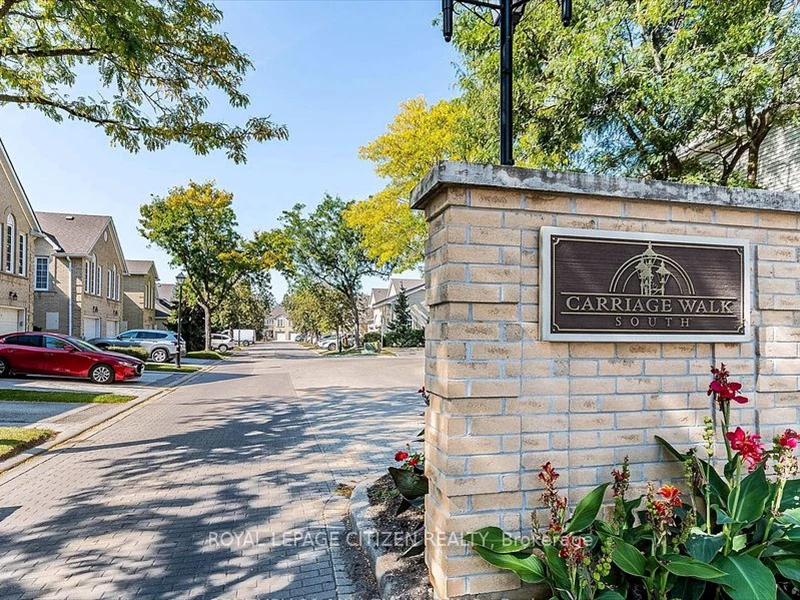 7025452505081719579.webp