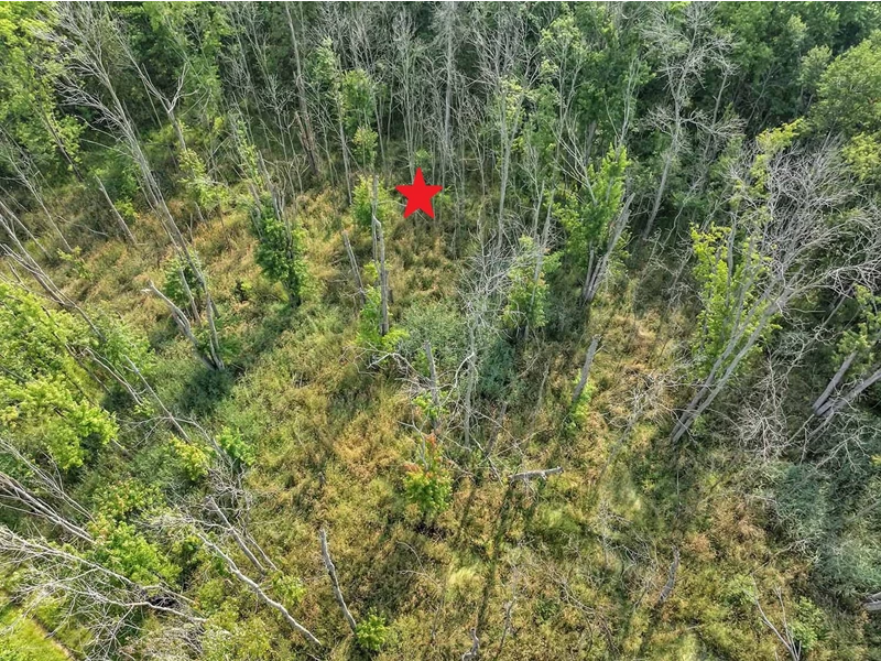 7038592511042013117.webp