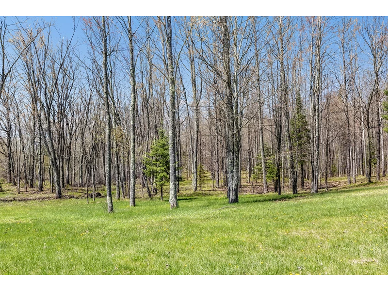 7048862605212036533.webp