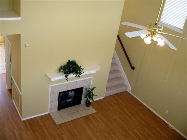 436021_10_L.jpg