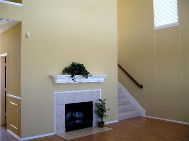 436021_6_L.jpg