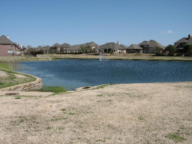 438323_12_L.jpg