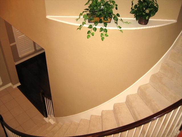 438624_15_L.jpg