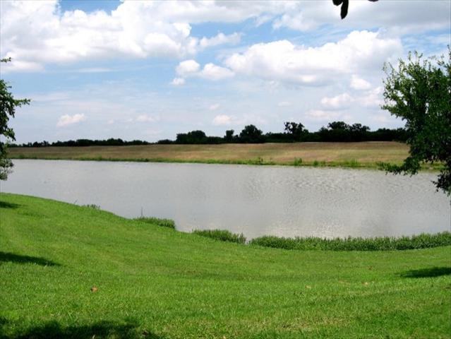 447656_22_L.jpg