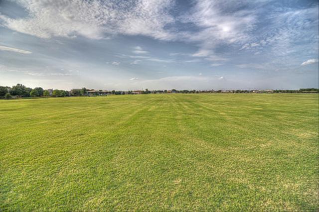 565015_30_L.jpg