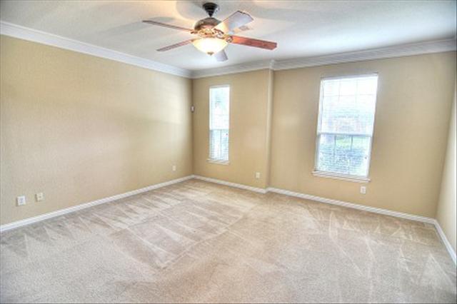 565016_13_L.jpg