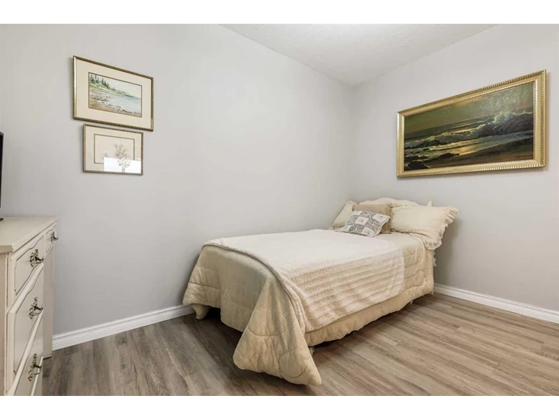 7037772510232042012.webp